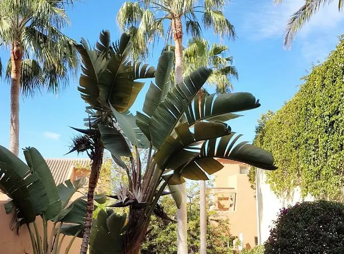 Ample Luxury Fancy Golf & Padel Apartament